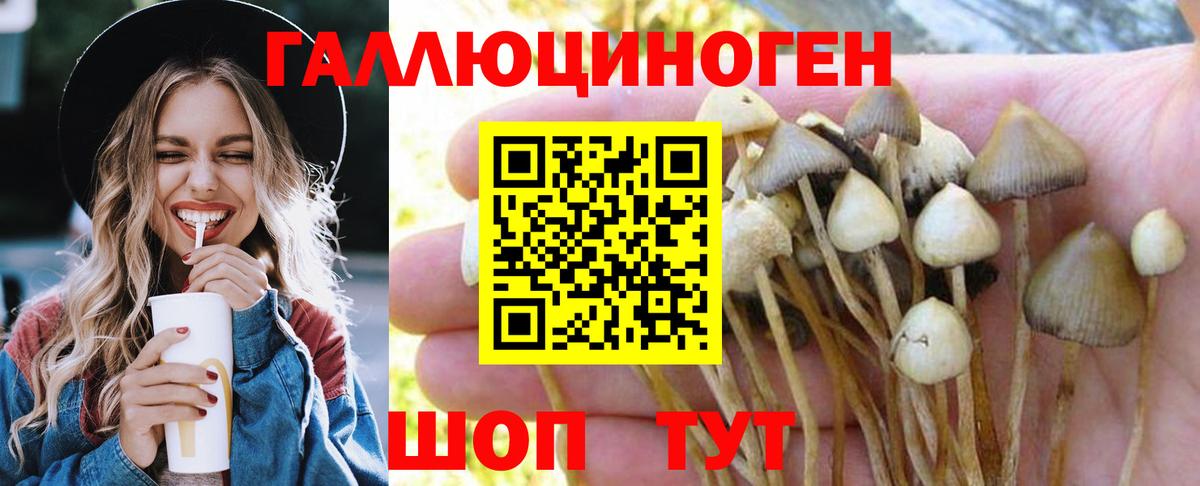 Псилоцибиновые грибы Psilocybine cubensis  Вход с VPN  Омск 